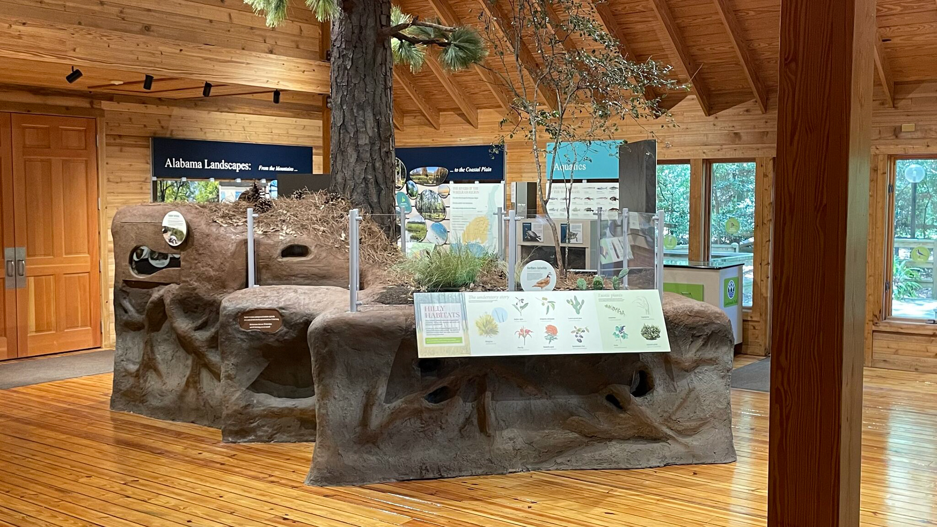From designing lifelike models of native animals and plants to creating interactive displays that teach visitors about the state’s unique ecosystems, we worked hard to make this exhibit as informative and fun as possible. 