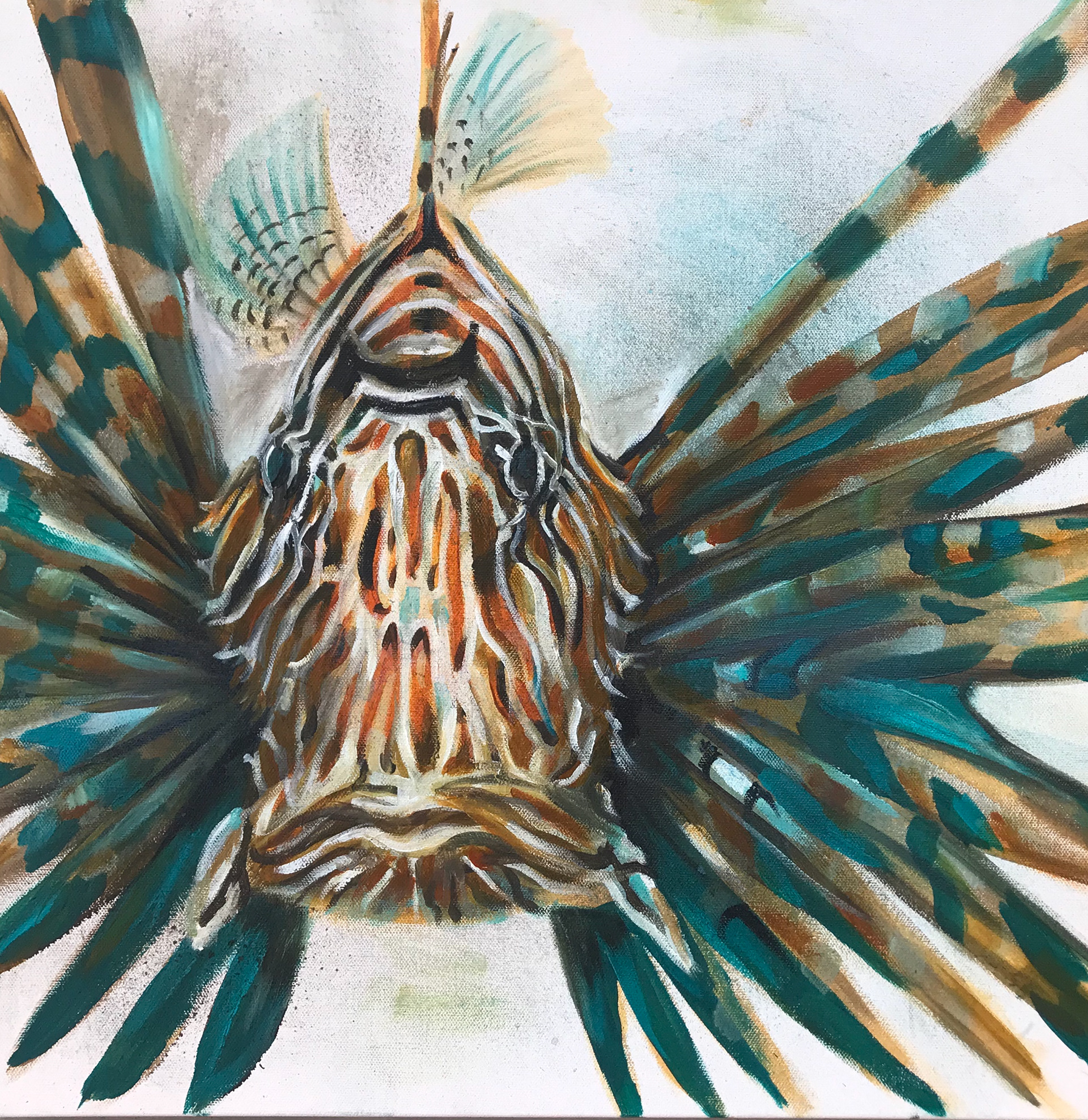 Ocean Predator