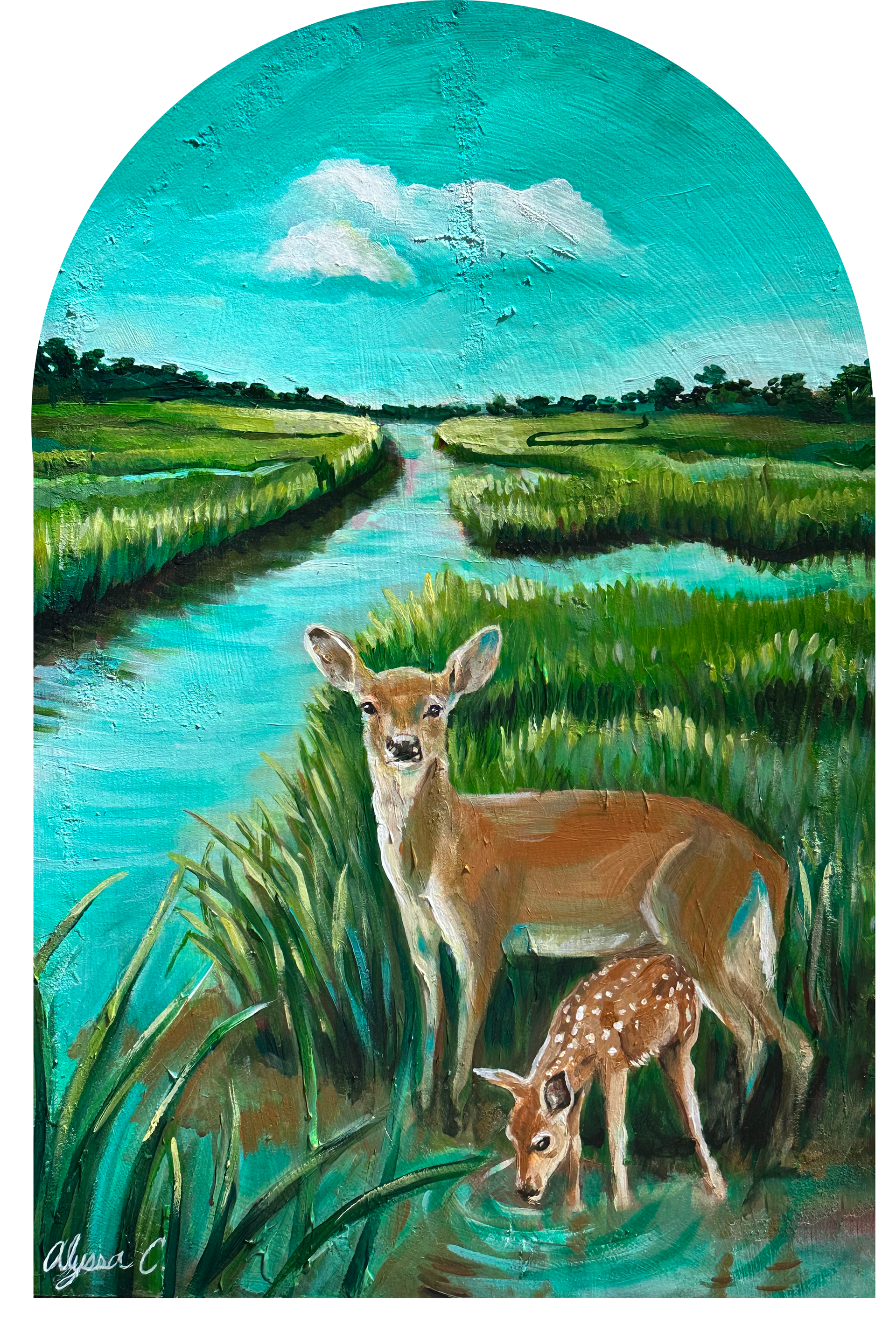 Marshland Maternal:AVAILABLE