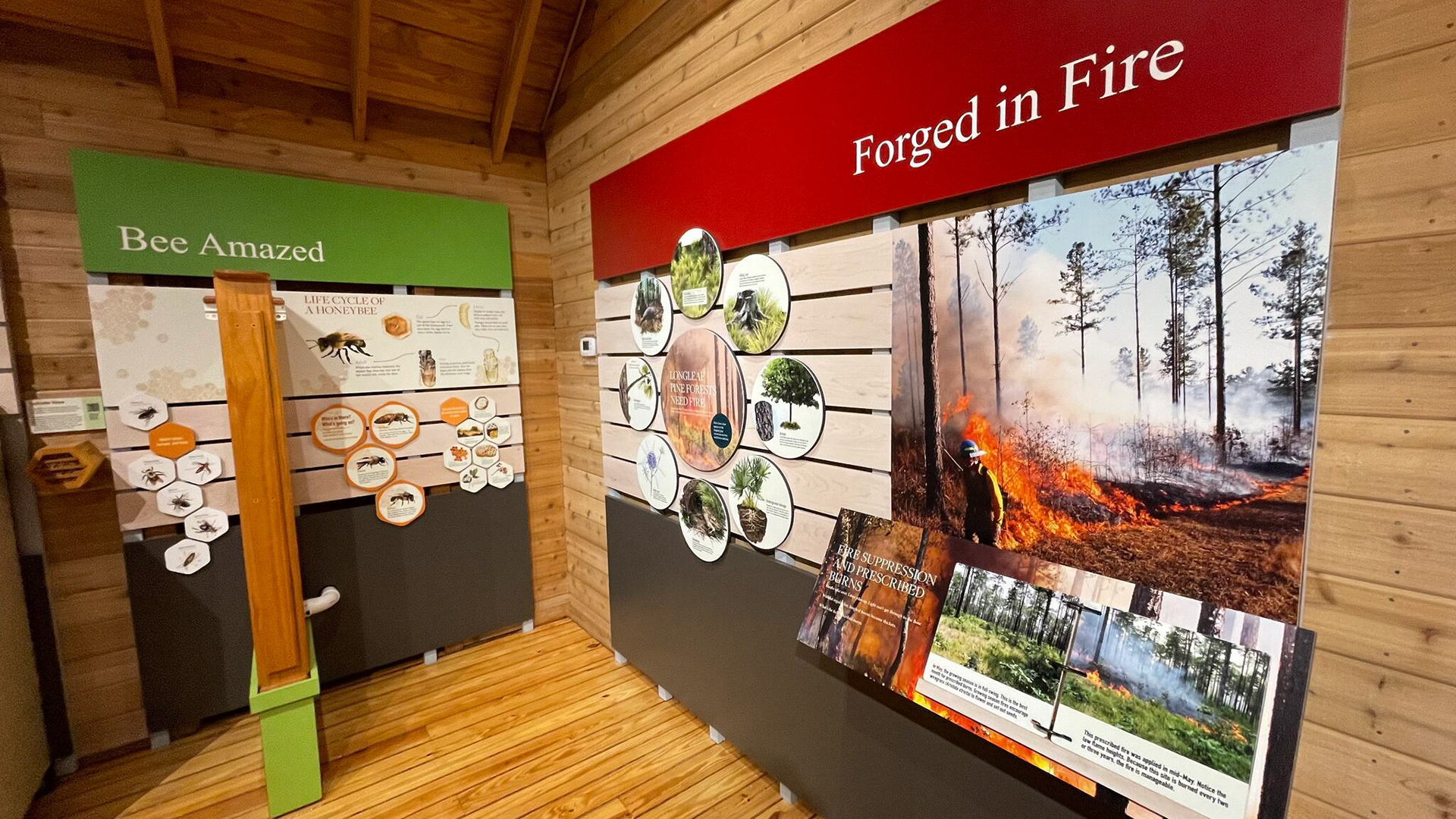 You can observe a real honey bee exhibit and see how the bees’ play a vital role in the local ecosystem. Learn about the interconnected relationship between these industrious pollinators and the environment they contribute to.