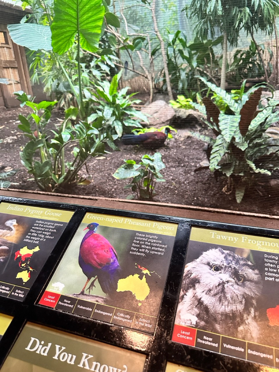 Creating the ID graphics was a meticulous process aimed at providing visitors with essential information about the birds – their habitats, key identifiers, and other relevant details. The graphics served as handy guides, enabling visitors to distinguish and appreciate the diversity of avian life.