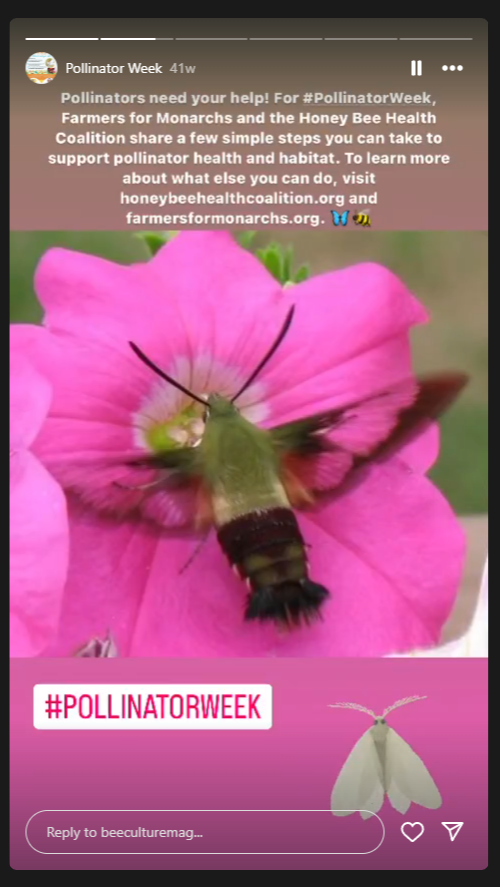 Pollinator Week Story Day 2