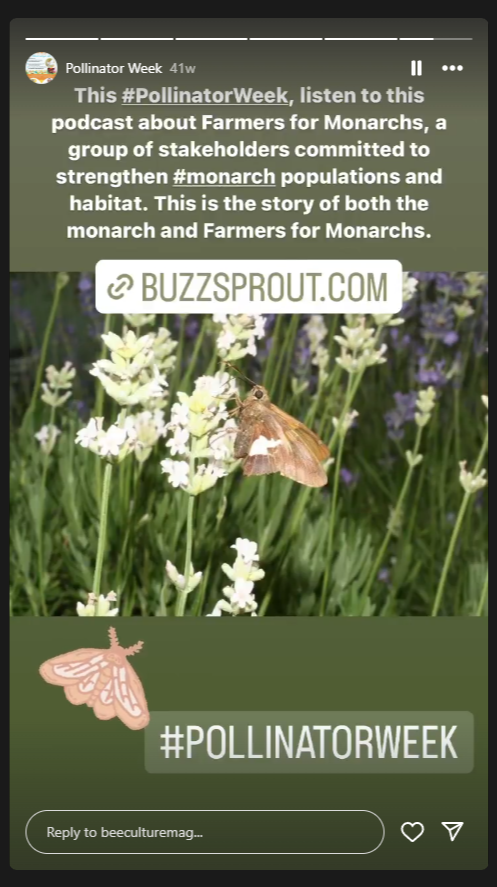Pollinator Week Story Day 6