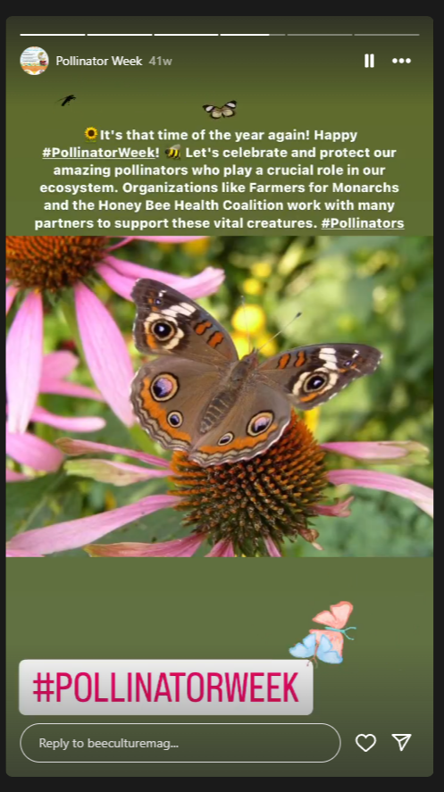 Pollinator Week Story Day 4