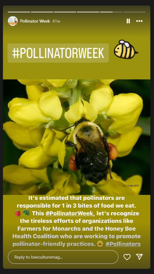 Pollinator Week Story Day 5