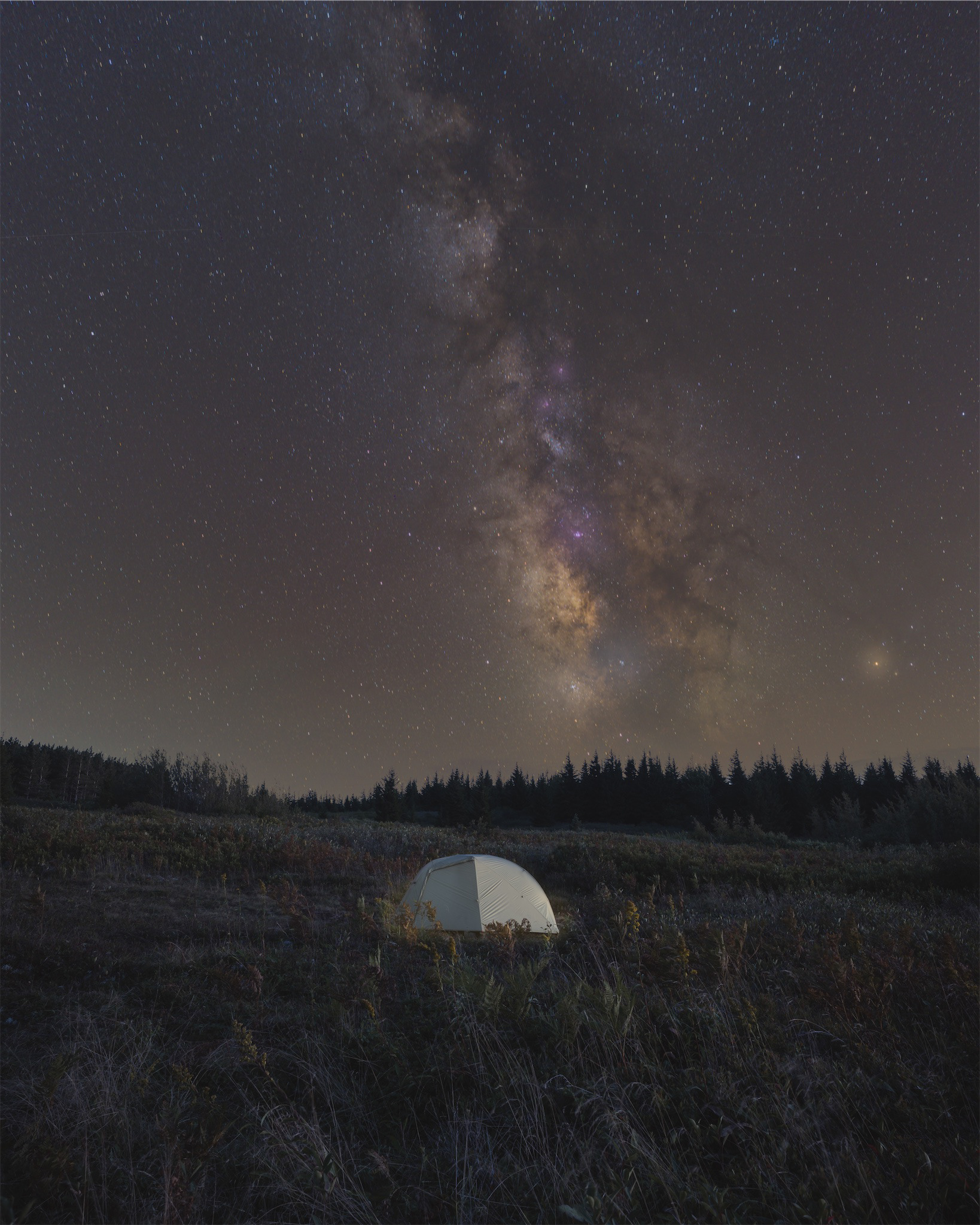 Dolly Sods Wilderness, West Virginia