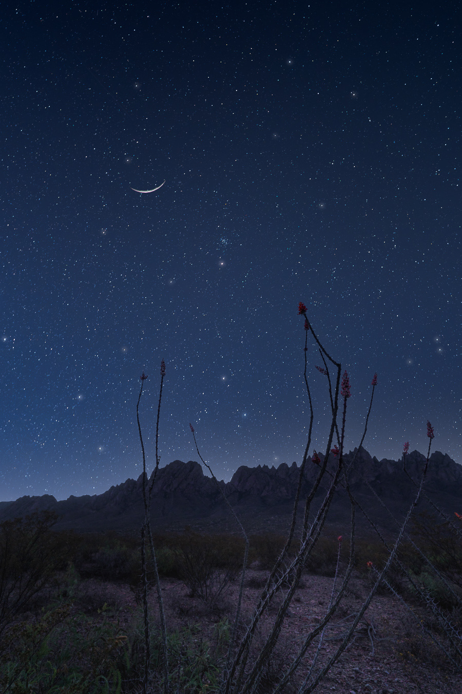 Las Cruces, New Mexico