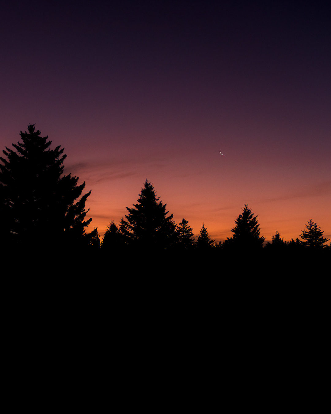 Dolly Sods Wilderness, West Virginia