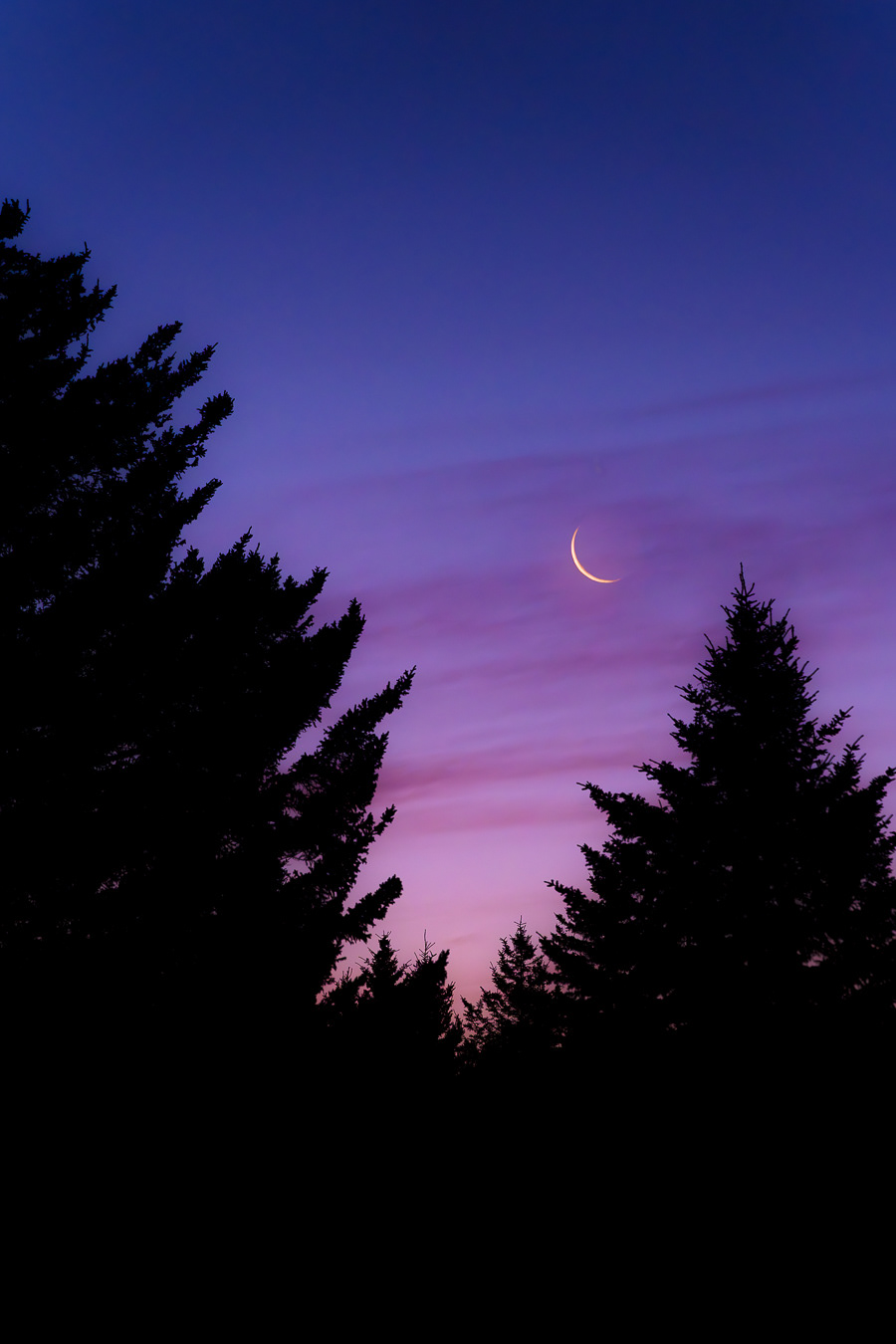 Dolly Sods Wilderness, West Virginia