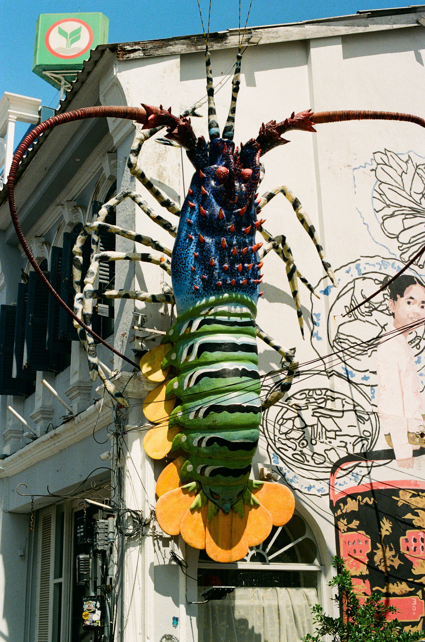 Big shrimp!