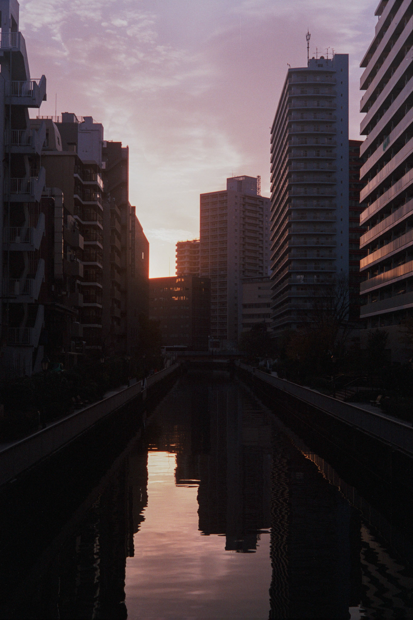 Shibaura