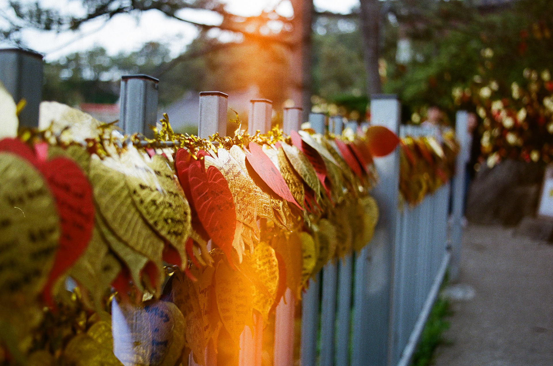 Wish at Haedong Yonggungsa Temple, Busan