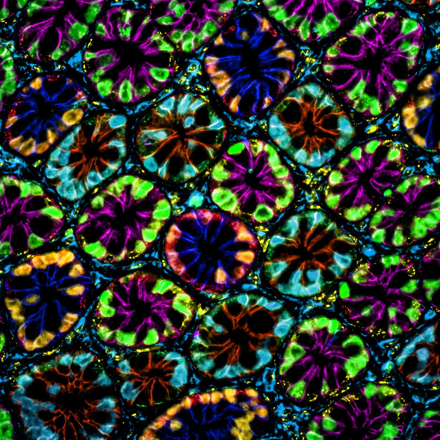 Panel 4