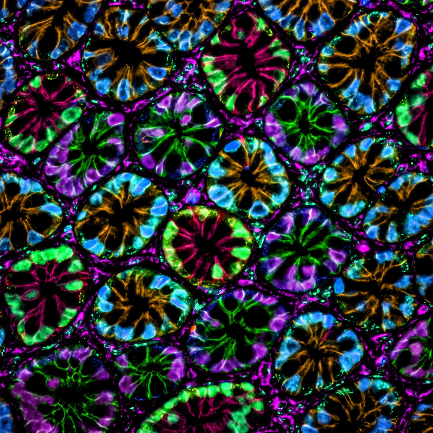 Panel 3