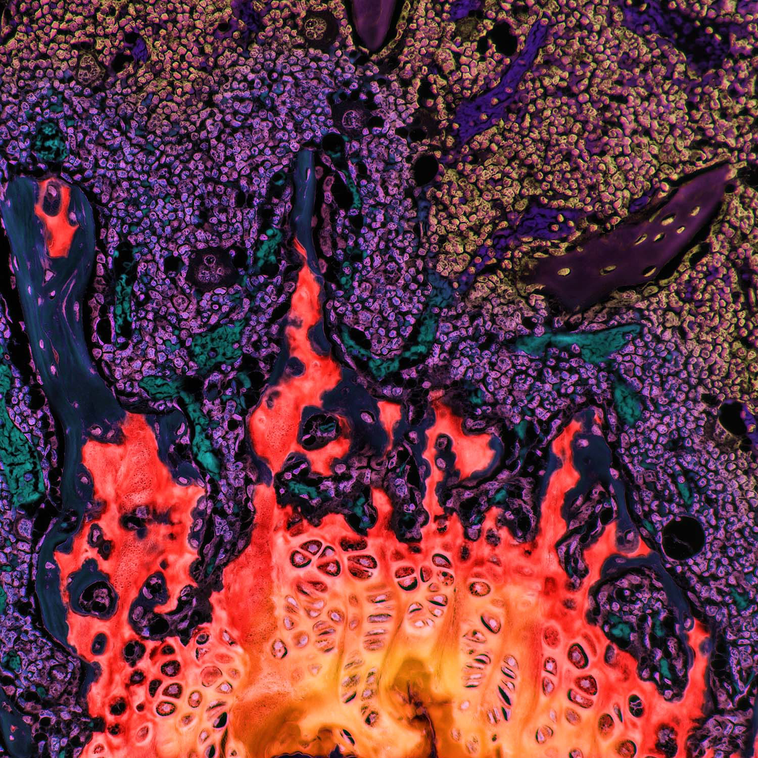 Abstract Series - The Fire