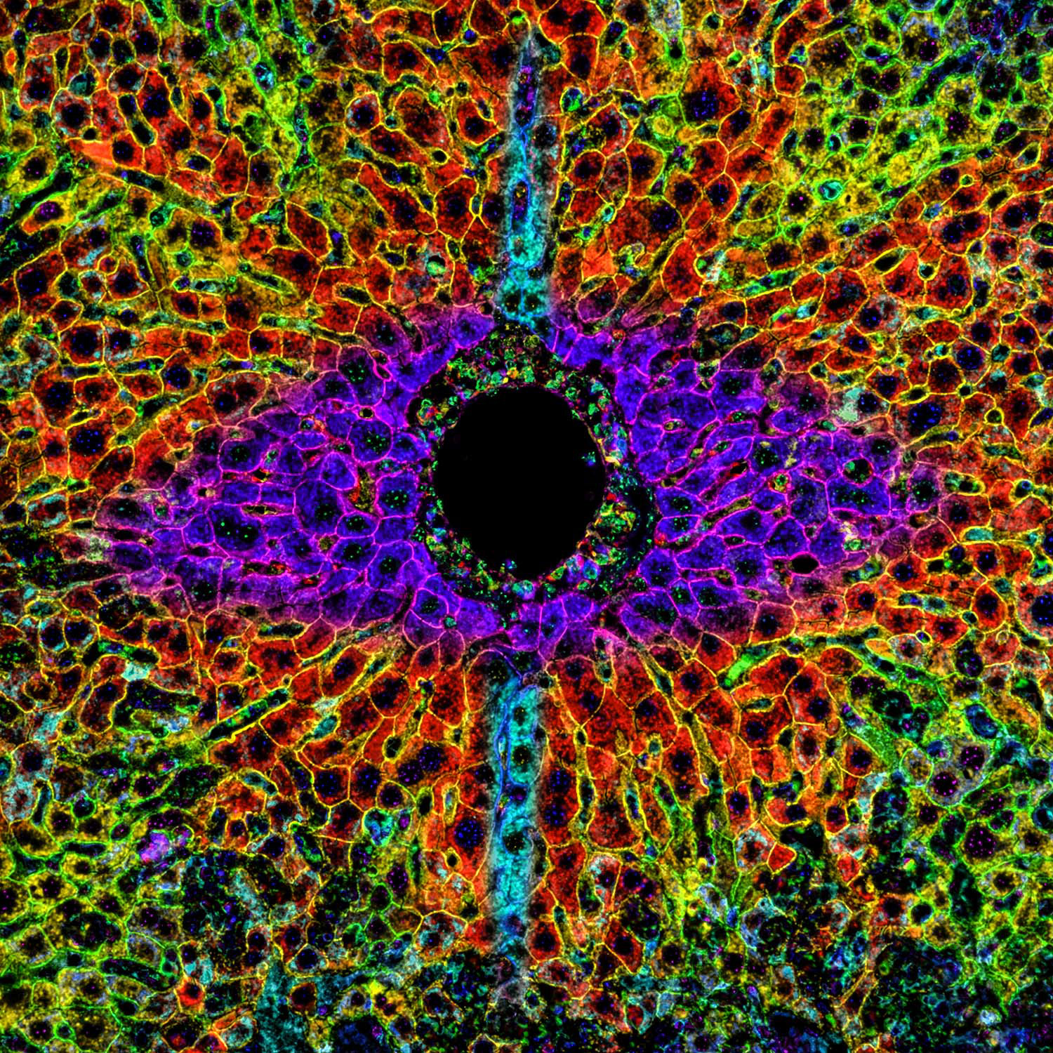 Abstract Series - The Eye