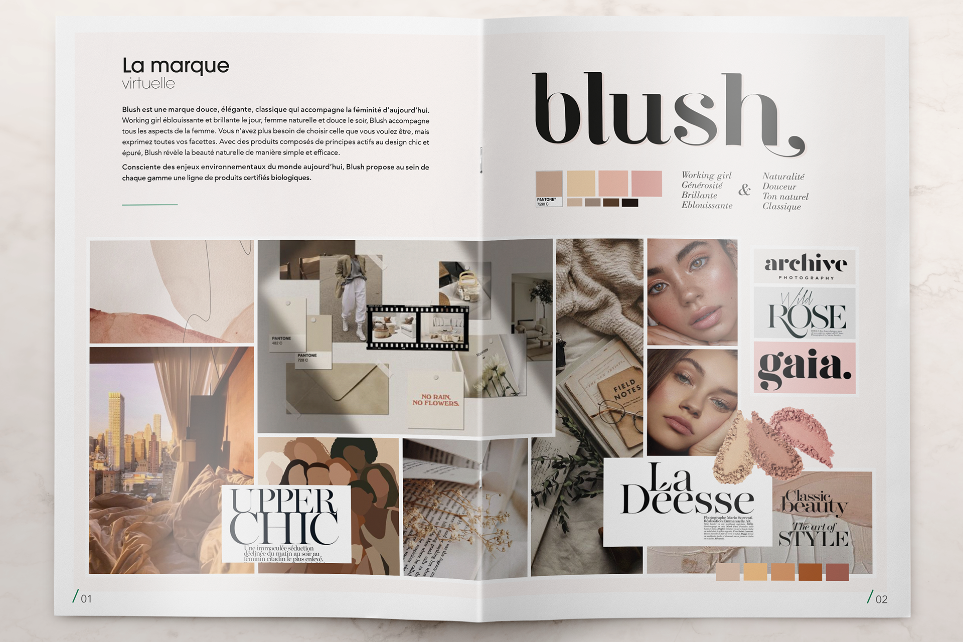 Marque visrtuelle : Moodboard, charte et introduction
