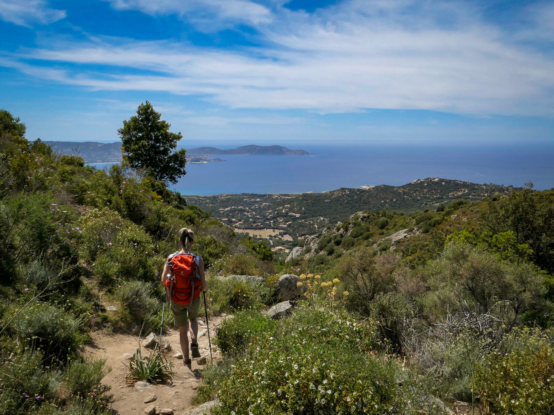 Occi Corsica 2017