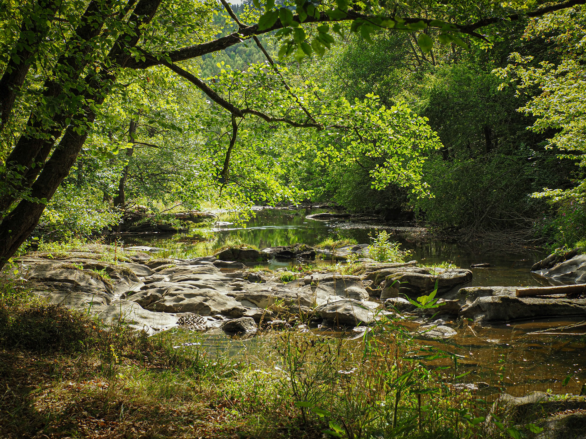 Ourthe Belgium 2020