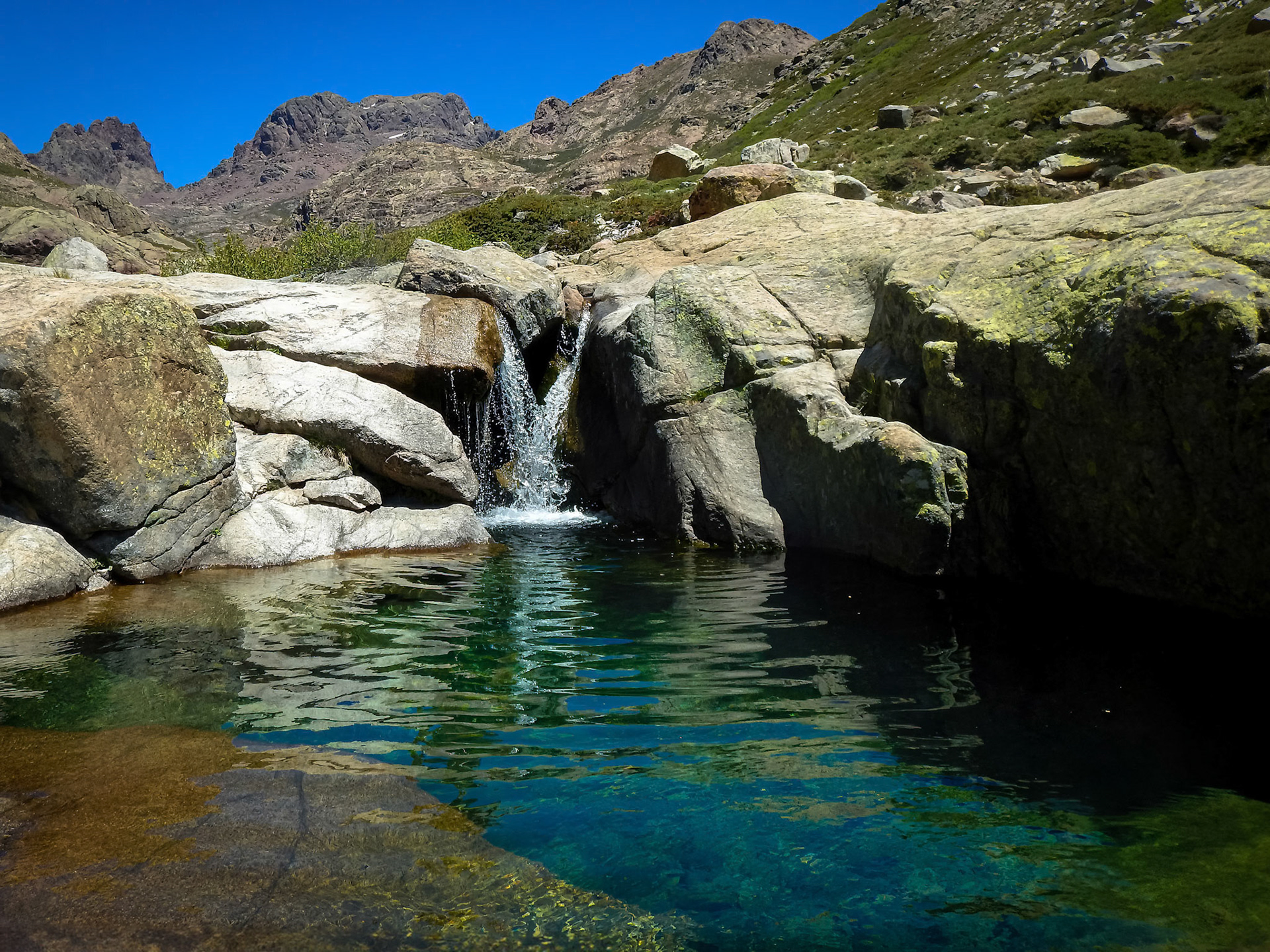 Ciuttulu Corsica 2017