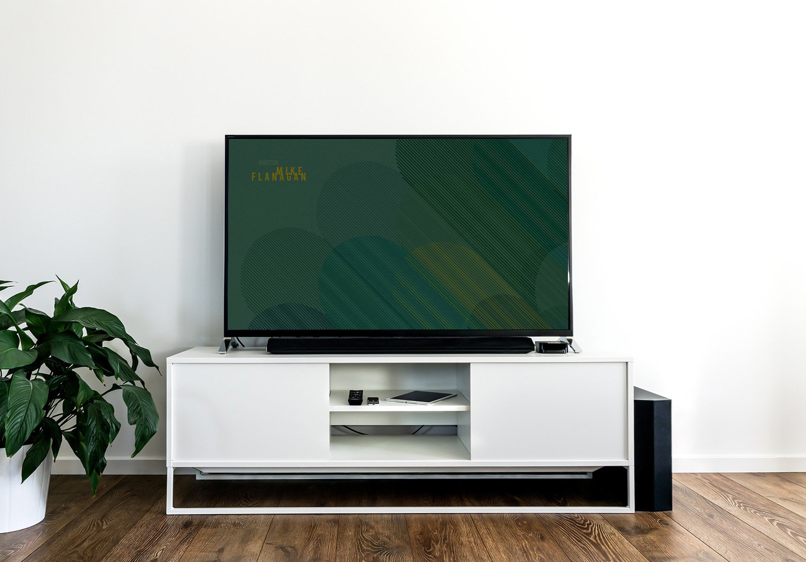 Director Screen