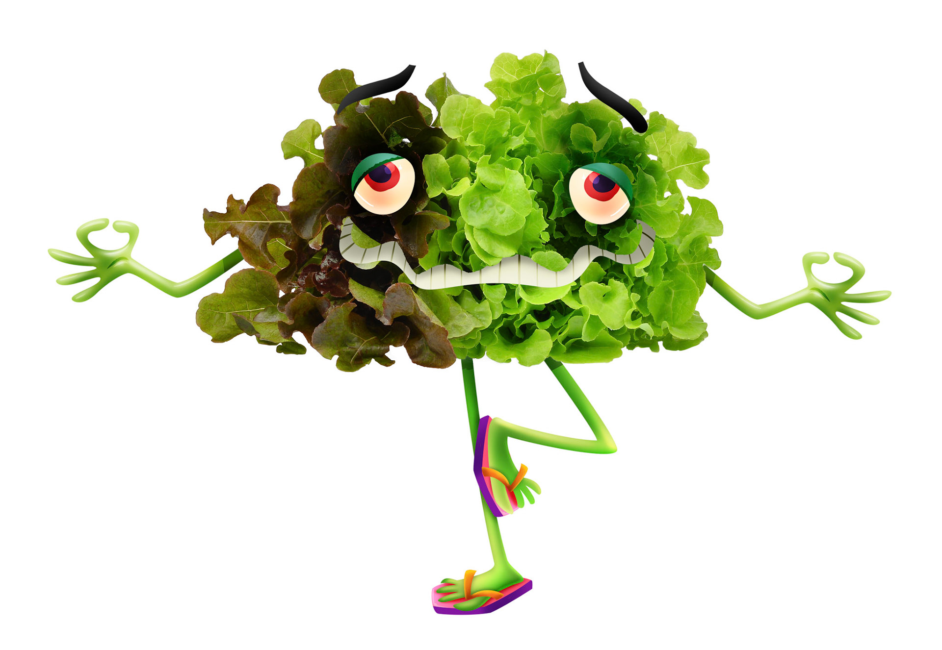 GREEN LETTUCE FINAL