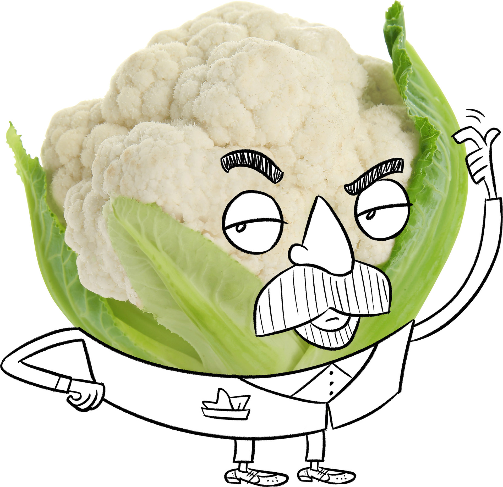 CAULIFLOWER DRAFT