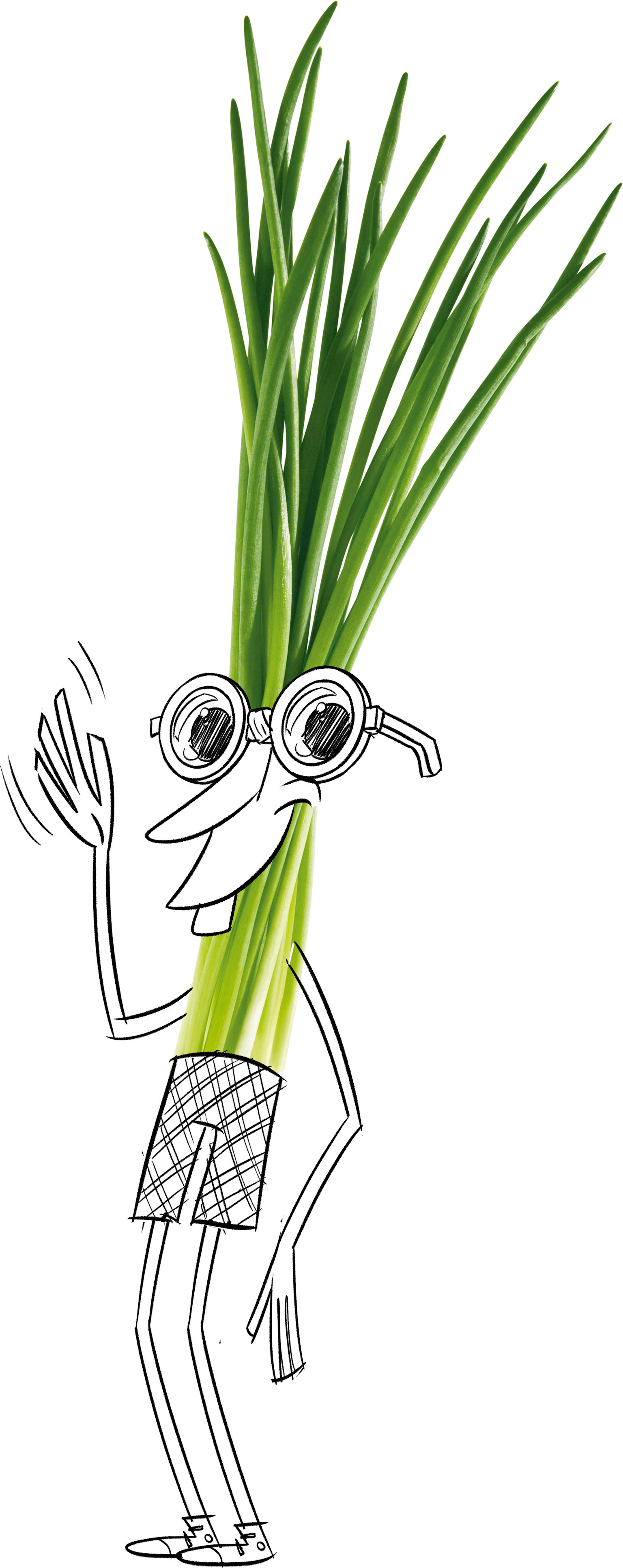 SPRING ONION DRAFT