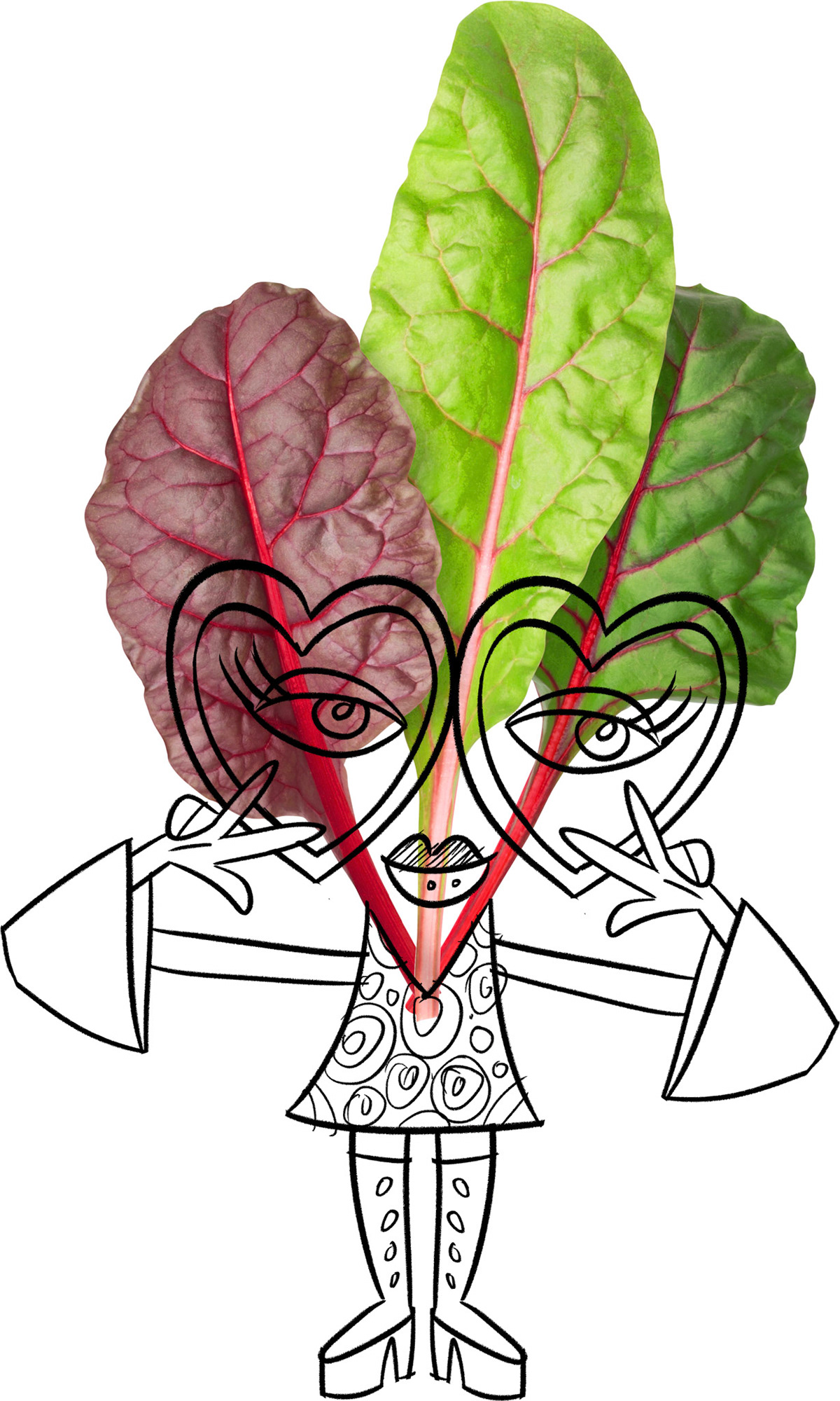 SILVERBEET DRAFT