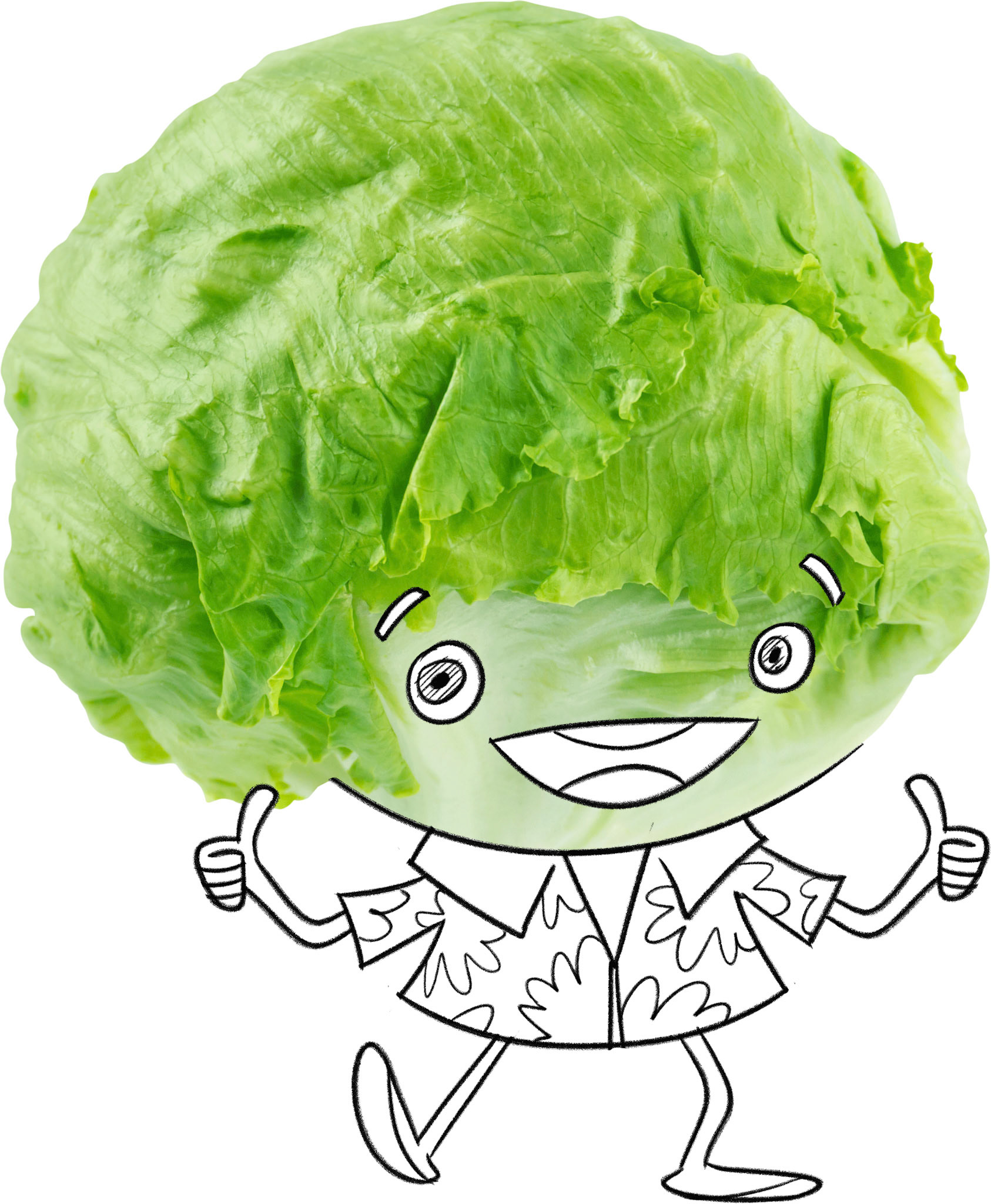 LETTUCE DRAFT