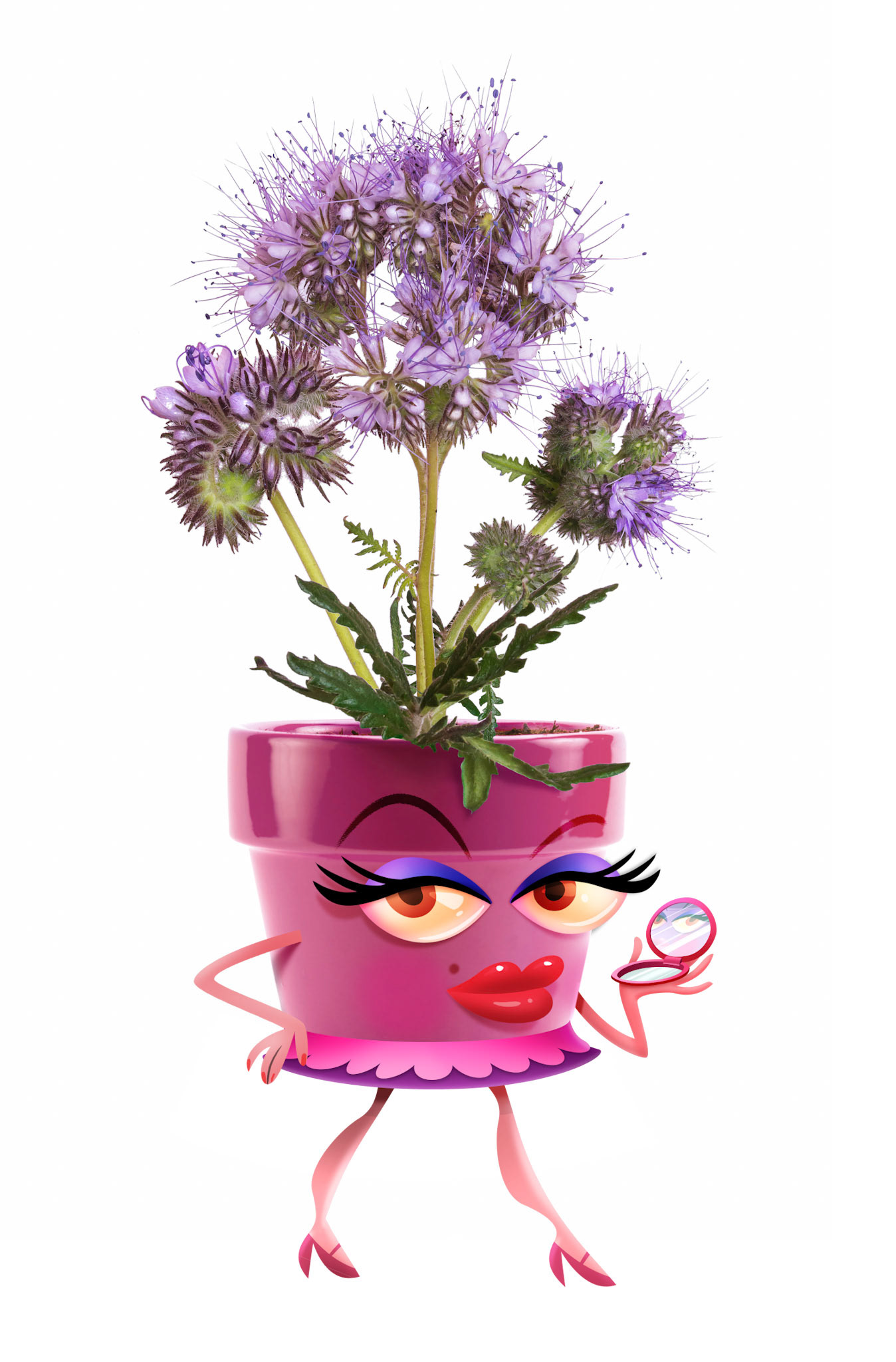 PHACELIA ORIGINAL