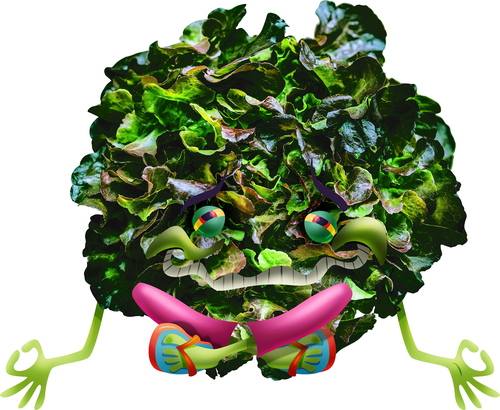 GREEN LETTUCE ORIGINAL