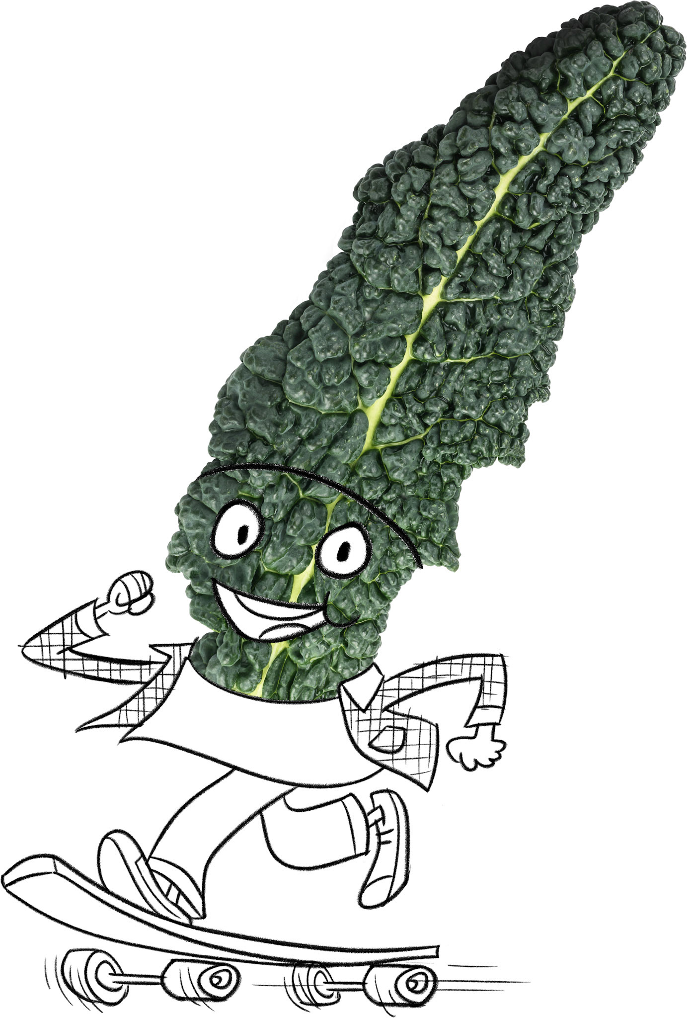 KALE DRAFT