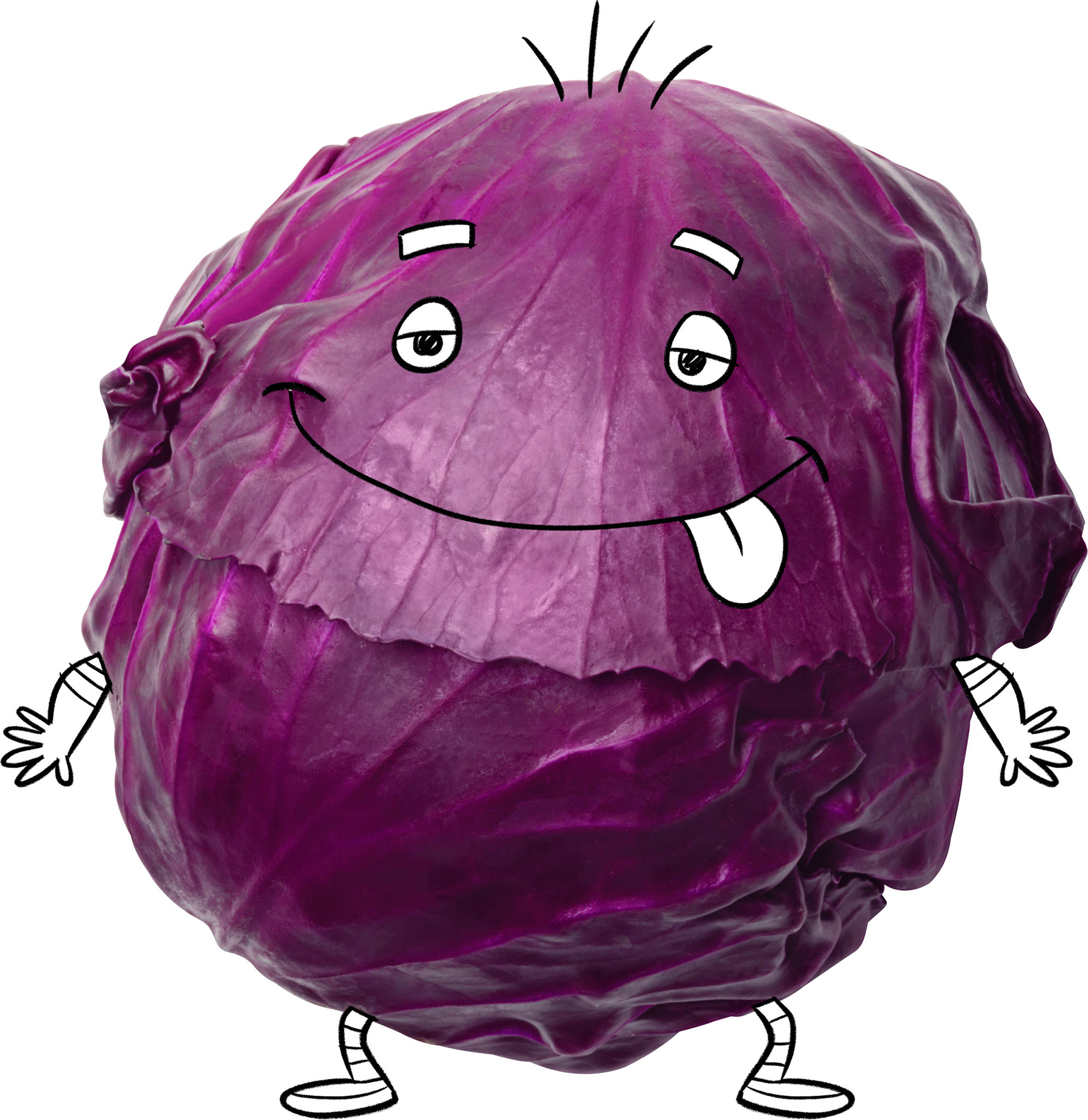 CABBAGE DRAFT