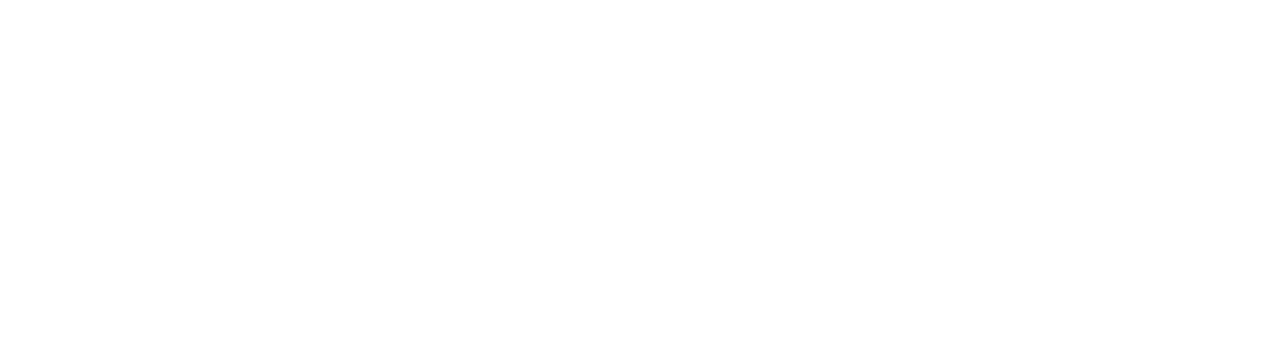 Widebirdy