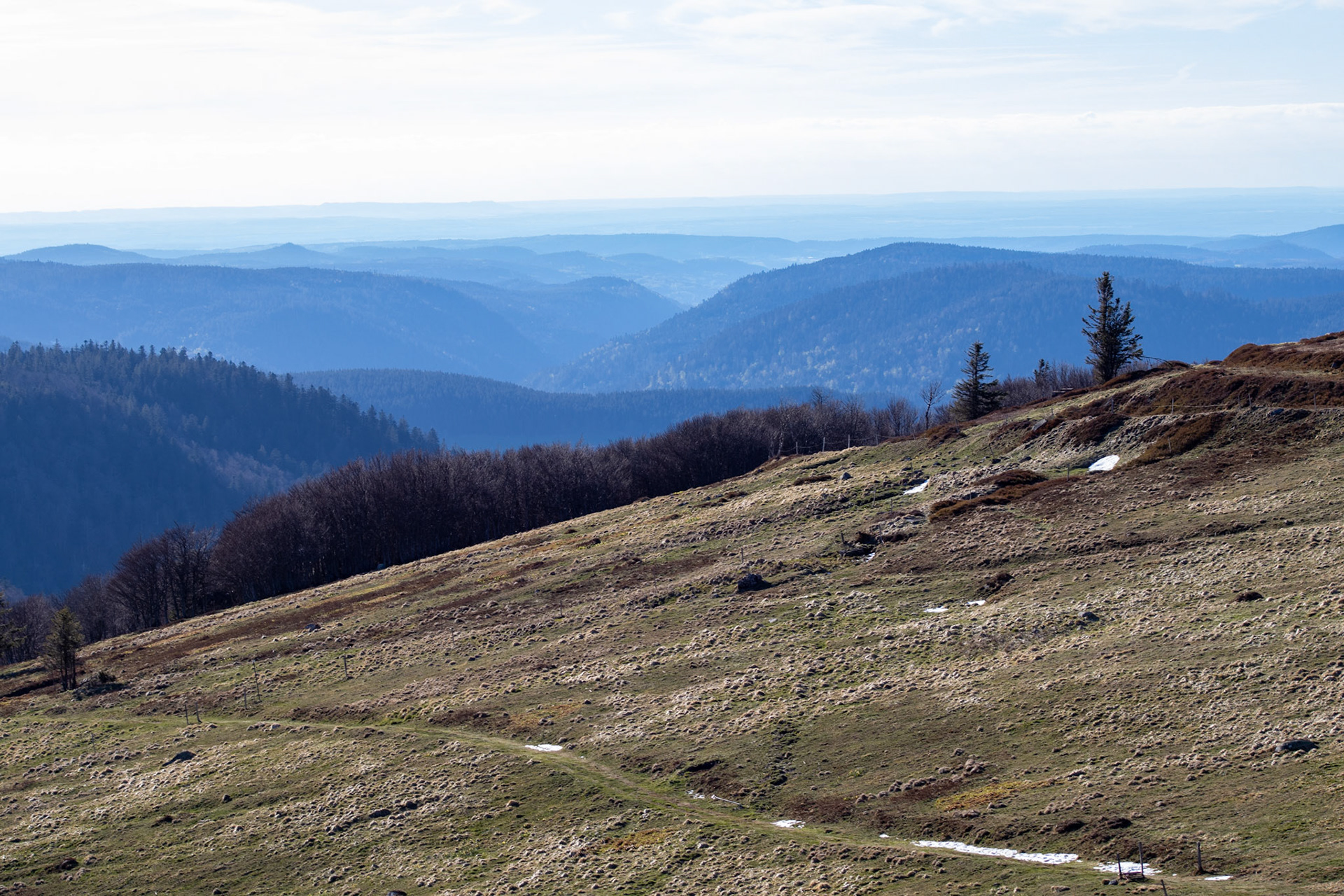 Vosges
