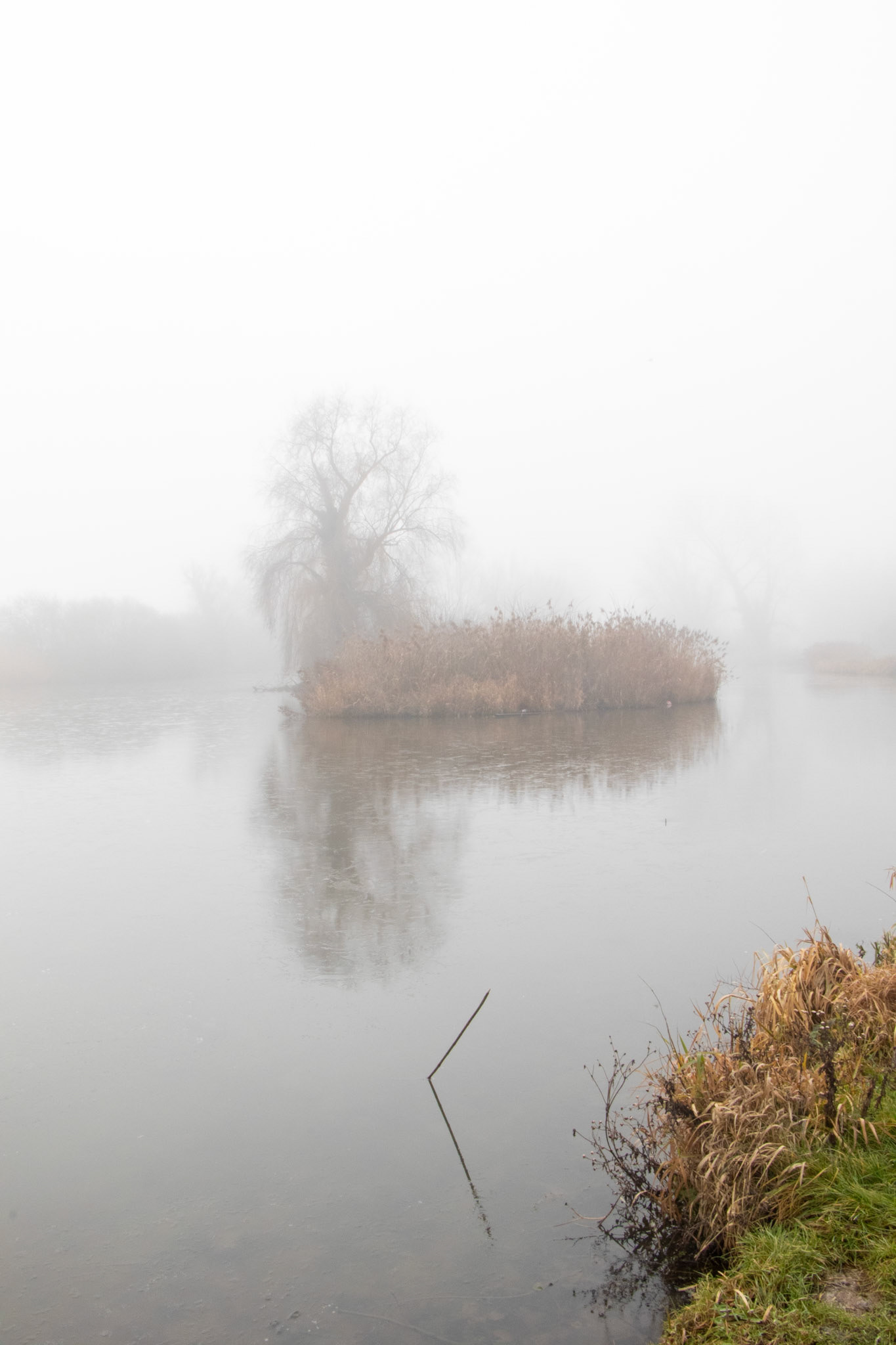 Wavrin - France