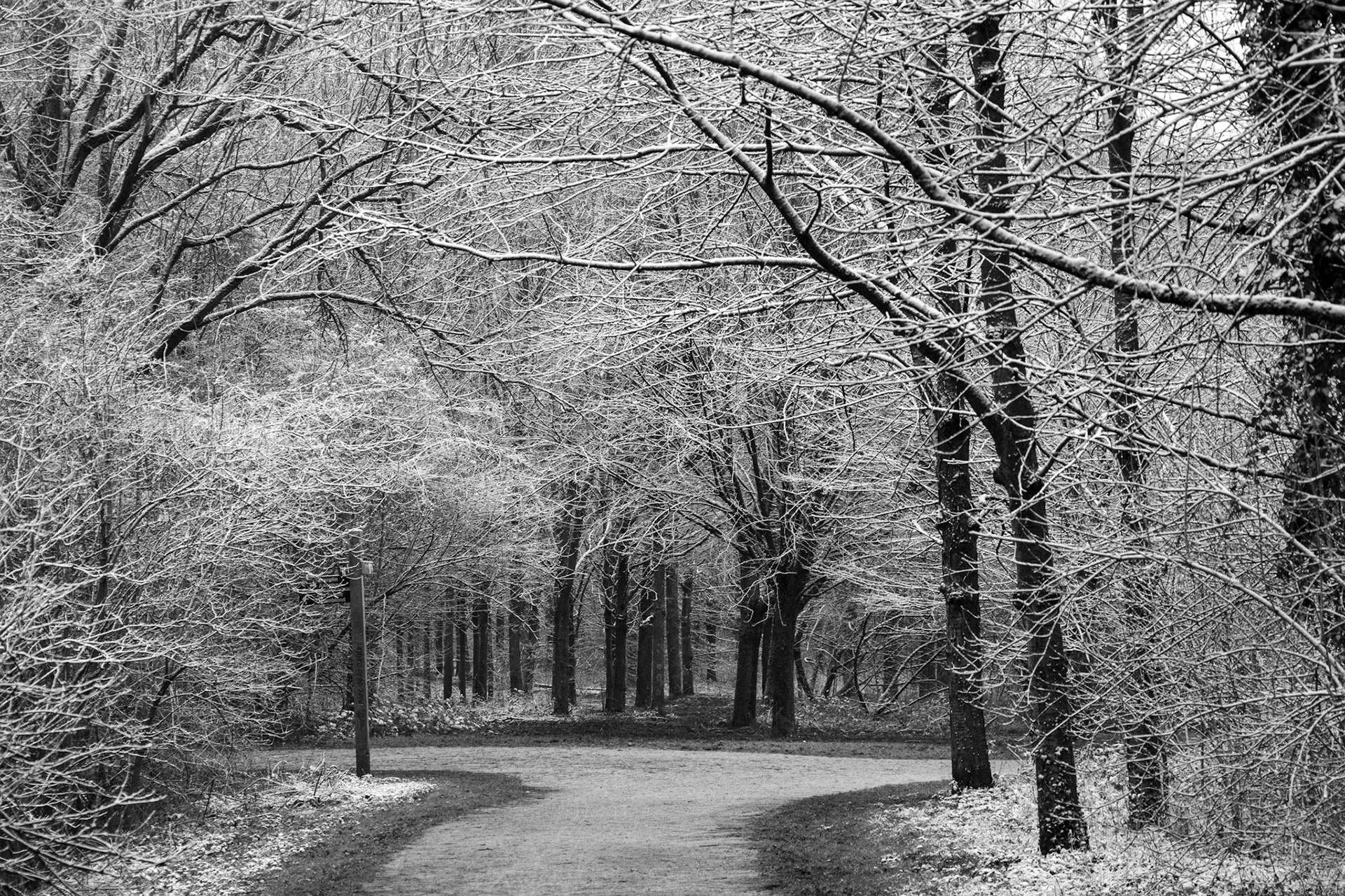 Parc de la Deule - Santes - France