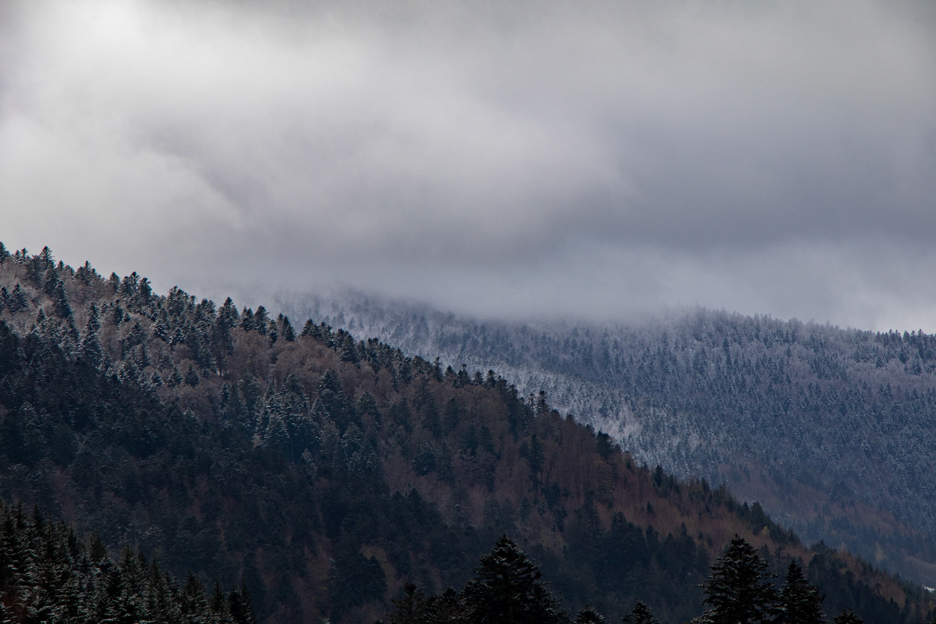 VosgesVosges