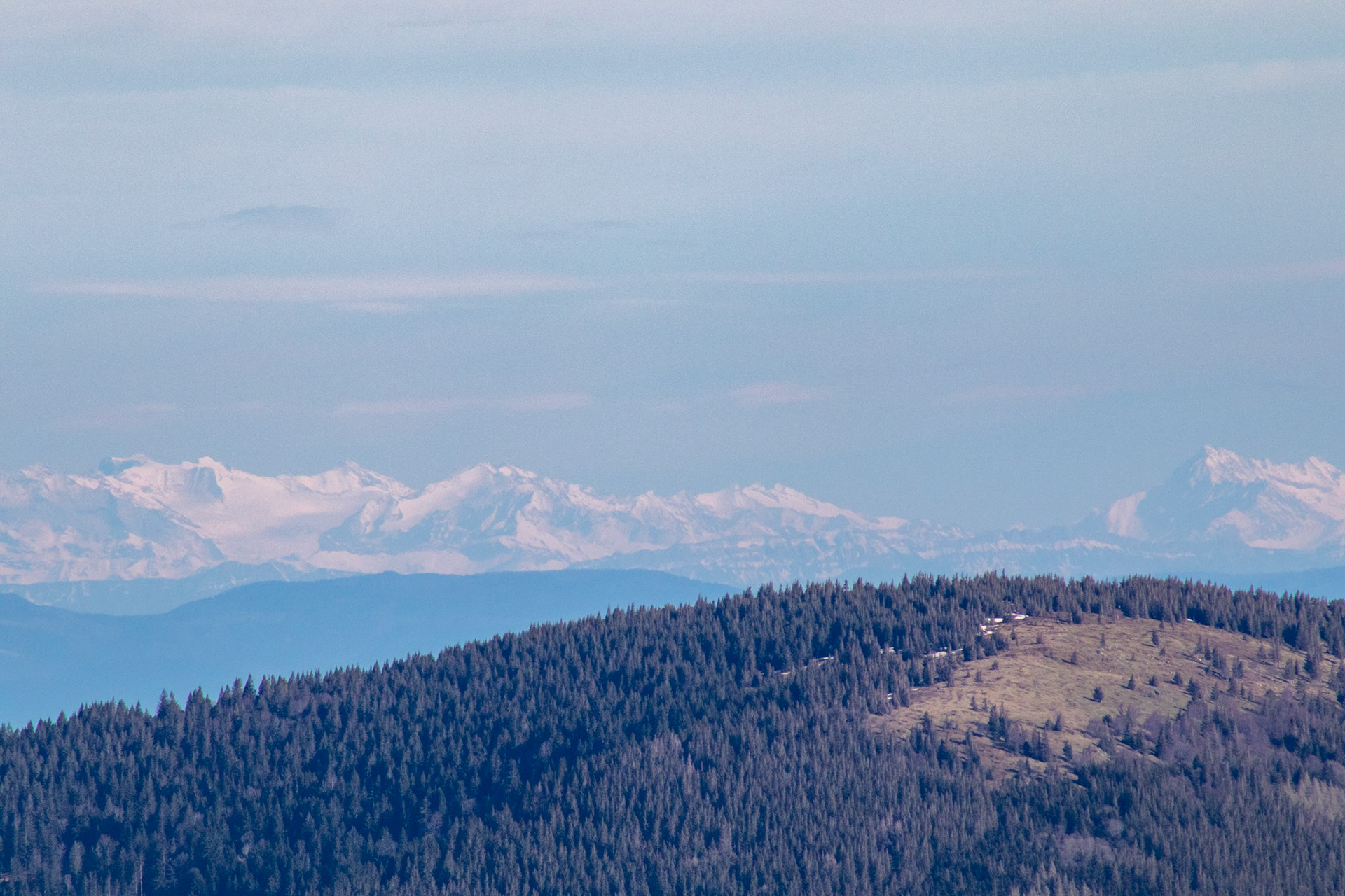 Vosges