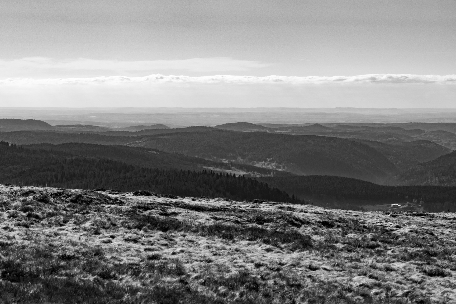 Vosges