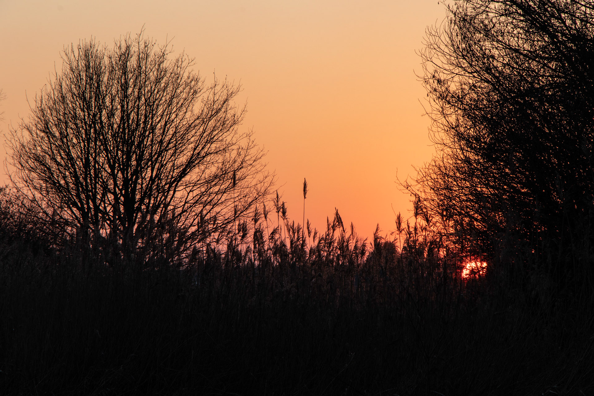 Parc Les Ansereuilles - Wavrin - France