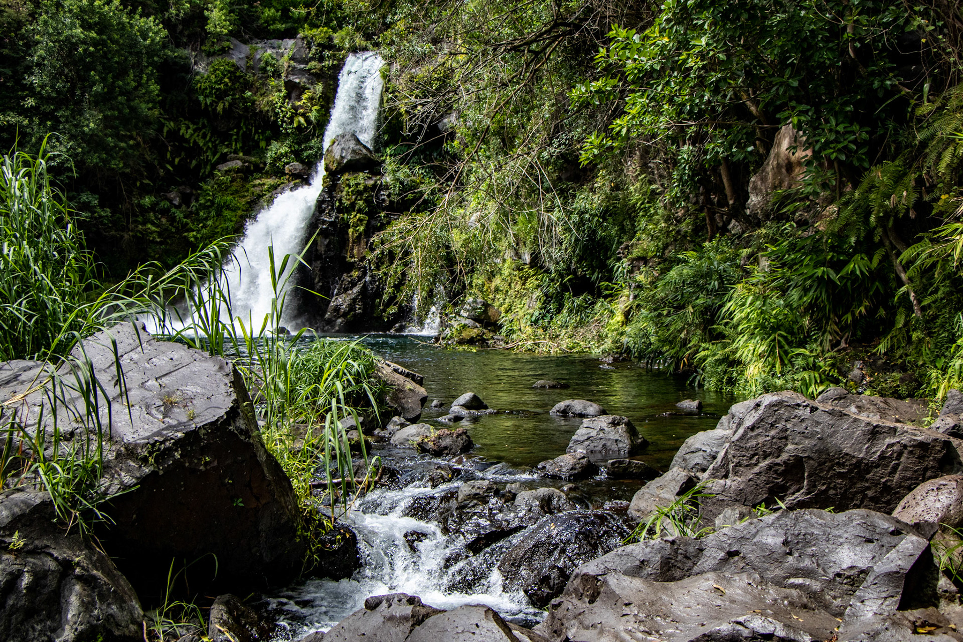 Cascade Jacqueline