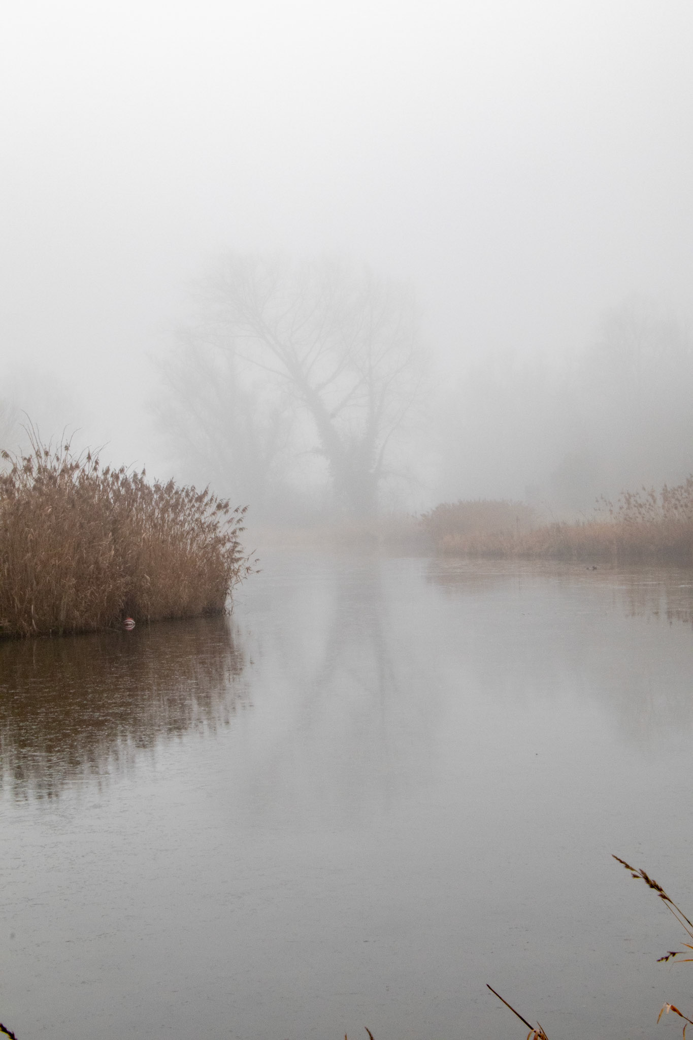 Wavrin - France
