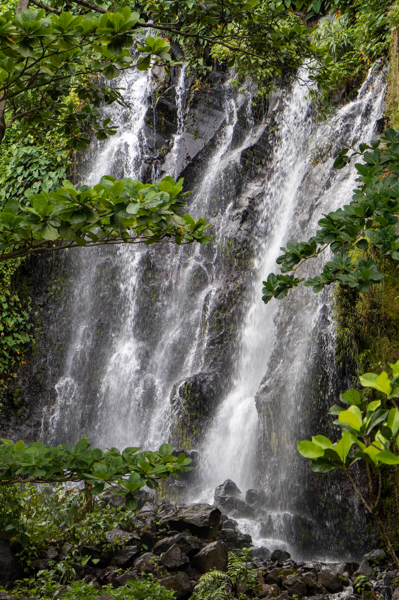 Anse des Cascades