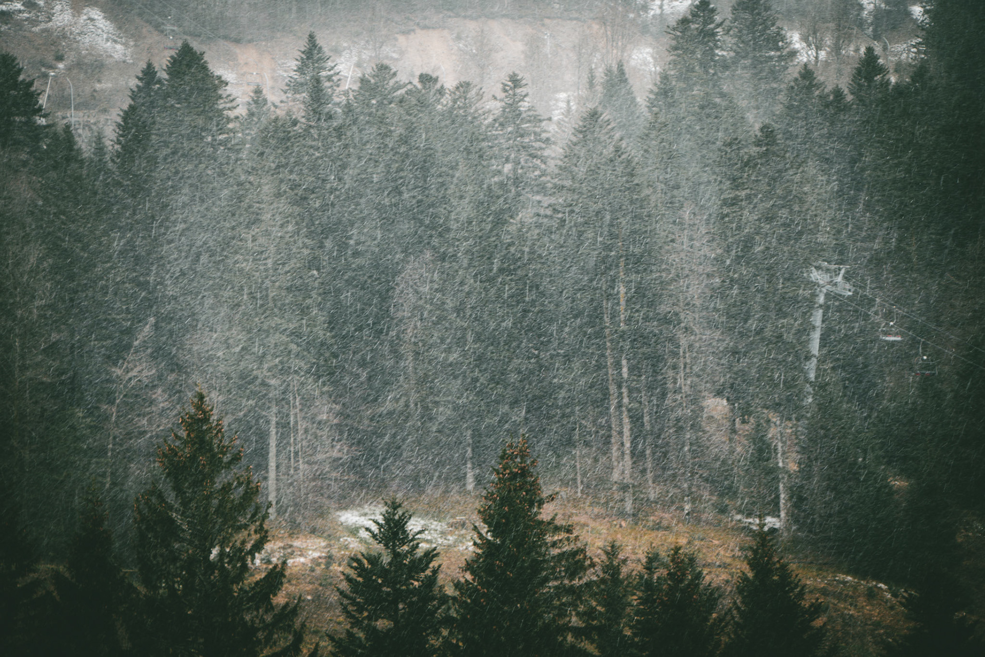 Vosges