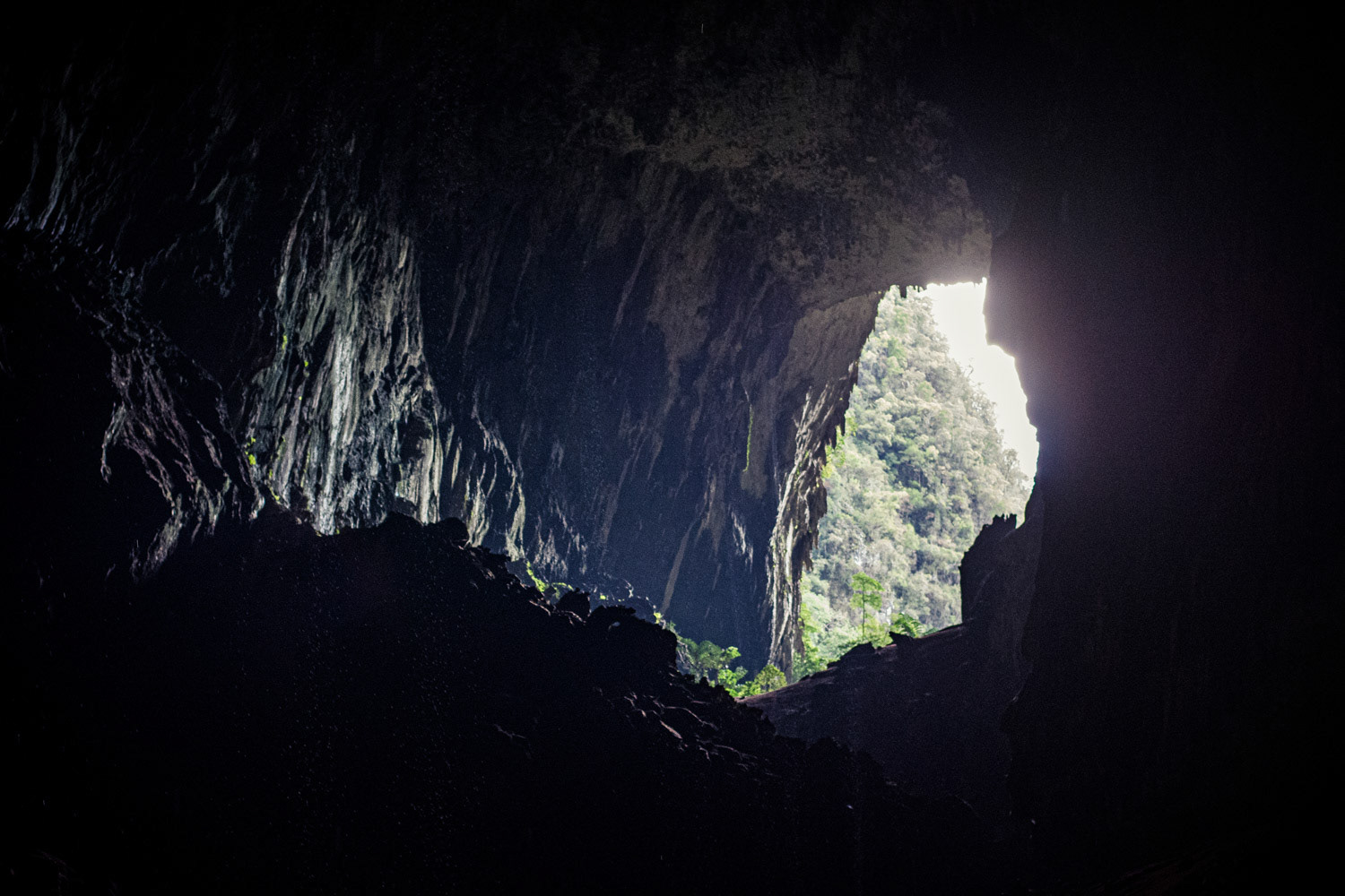 Mulu National Park, Malaysia, 2019.