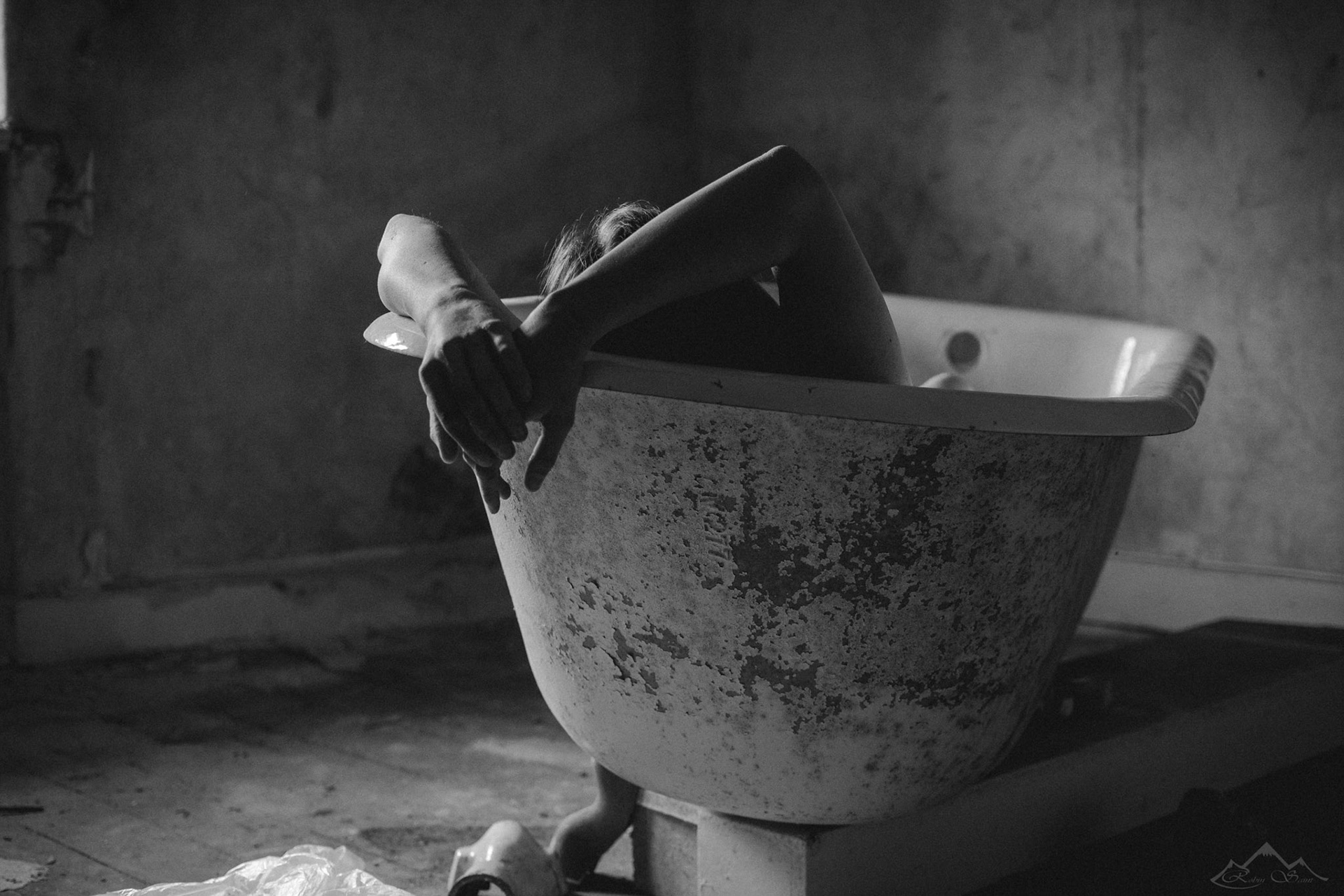 More than photos and horses