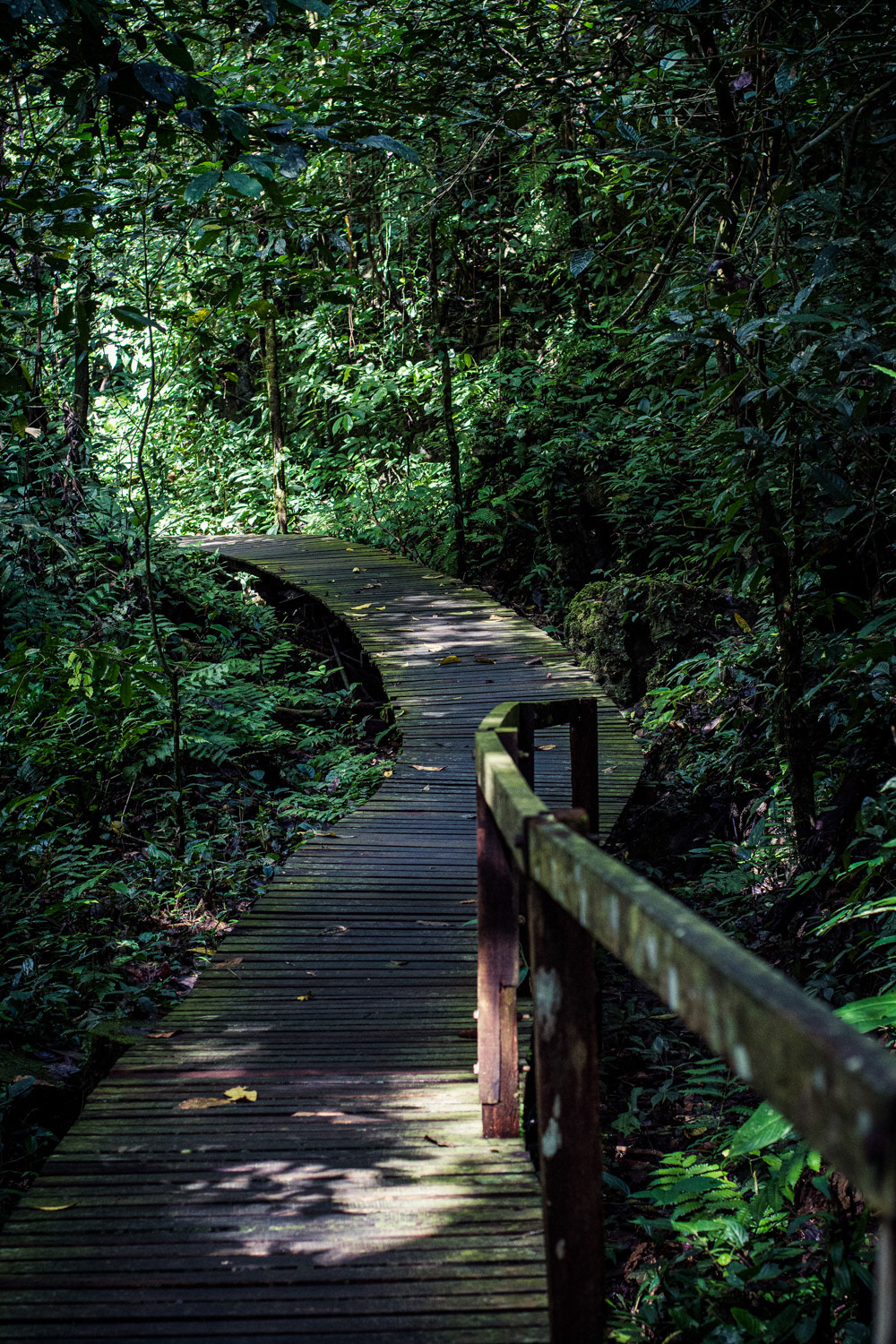 Mulu National Park, Malaysia, 2019.