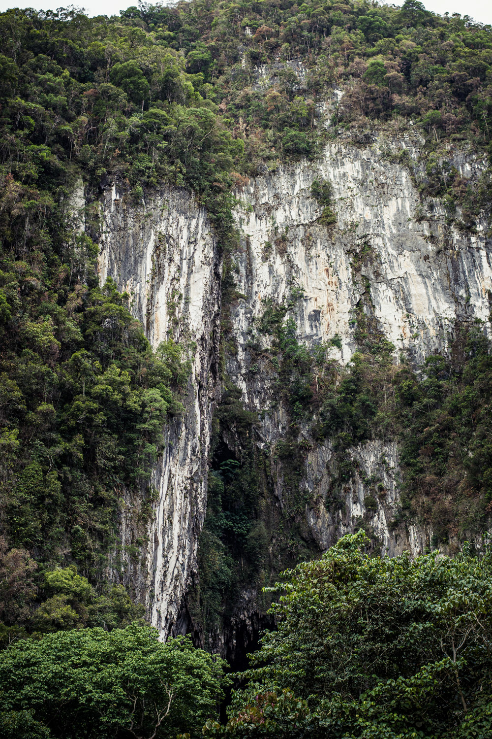 Mulu National Park, Malaysia, 2019.